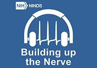 Building up the Nerve blog