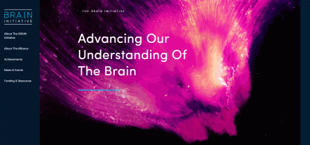 Screenshot of the BRAIN Initiative Homepage