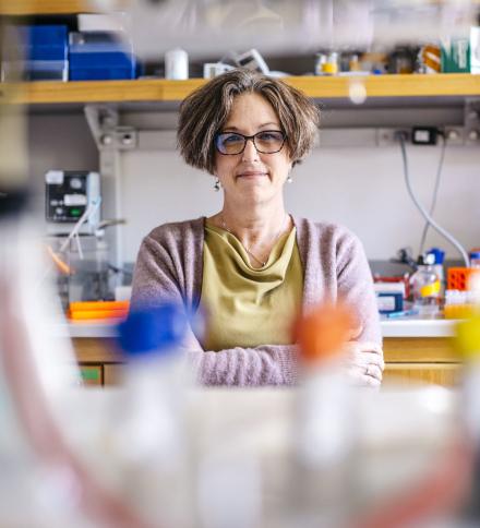 Photo of Miriam Goodman, Ph.D., 2018 Research Program Award (R35) Winner