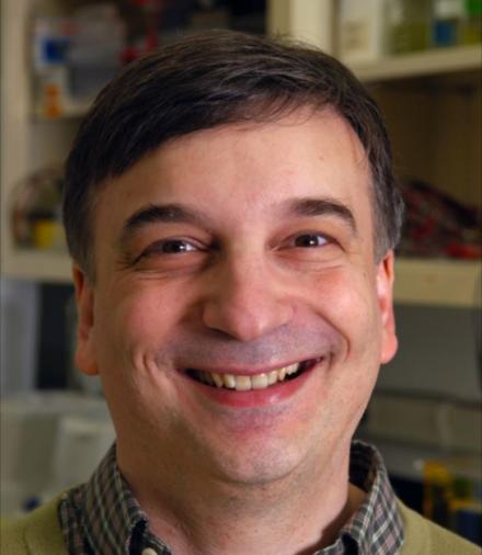 Photo of Shai Shaham, Ph.D. 2018 Research Program Award (R35) Recipient