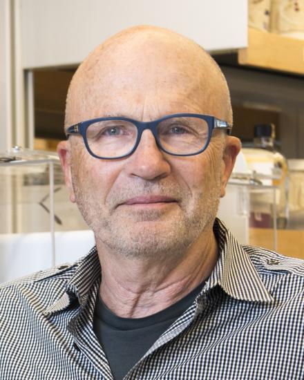 Photo of Clifford Woolf, Ph.D. 2018 Research Program Award (R35) Recipient