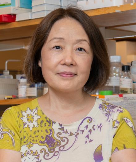 Photo of Jie Shen, Ph.D. 2014 Javits Award recipient