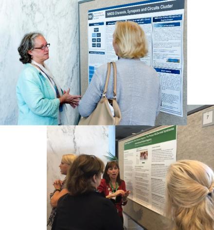 Interactive poster session