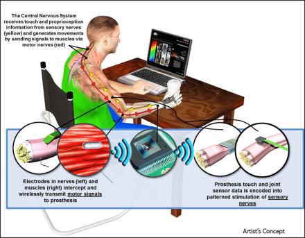 Image Courtesy of DARPA