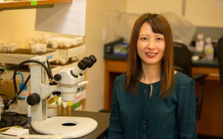photo of Xinnan Wang