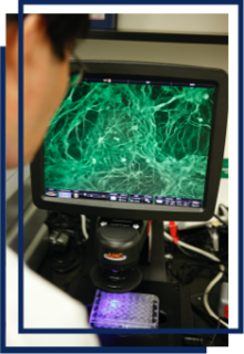 a scientist looking at samples on a screen