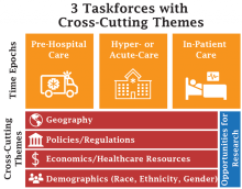 Brain Attack Coalition graphic showing three Taskforces (Pre-Hospital Care, Hyper- or Acute-Care and In-Patient Care) with Cross-Cutting Themes including geography, policies/regulations, economics/healthcare resources and demographics 9race, ethnicity, gender)