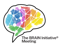 The BRAIN Initiative Meeting multi-colored graphic