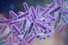 3D illustration of human gut bacteria.