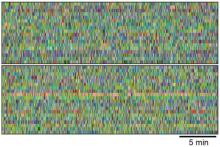 Two blocks of colored pixels. Each pixel represents a mouse behavior or “syllable” and each row shows the behavior pattern of one mouse. The bottom block shows the behavior patterns of mice with epilepsy compared to controls, above. 