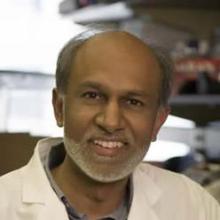 Dr. Avindra Nath