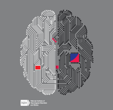 circuits in the shape of a human brain