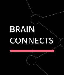 BRAIN CONNECTS 