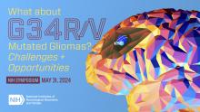G24R/V Mutated Gliomas Conference Image