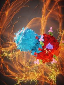 artist's rendering of glioma attacked by immune system