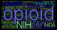 Opioid word cloud