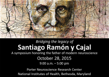 Bridging the Legacy of Santiago Ramón y Cajal
