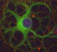 Image of brain cell that computer program is analyzing