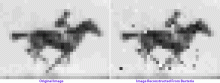 Scientists replay movie encoded in DNA