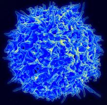 An image of a T cell from a healthy person.