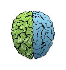 Illustrated human brain