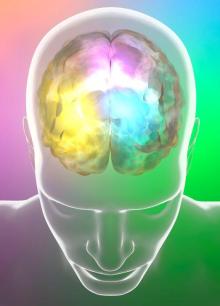 image of human head and brain