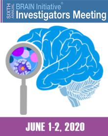 6th Annual BRAIN Investigators Meeting logo