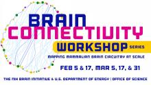 The Brain Connectivity Workshop Series event flyer