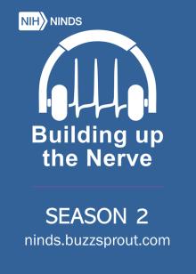 Building up the Nerve Season 2 podcast flyer