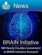 News: Brain Initiative: NIH Nearly Doubles Investment in BRAIN Initiative Research