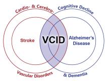 VCID is the overlap between cerebral vascular disorders and dementia