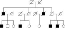sample chart for tracing Huntington&#039;s Disease