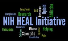 HEAL Initiative word map