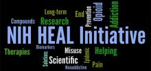 wordcloud for NIH Heal Initiative 