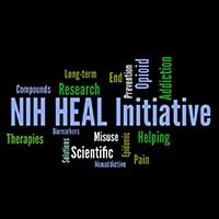 NIH Heal Initiative wordcloud