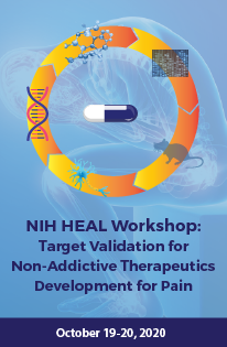 HEAL Workshop: Target Validation for Non-Addictive Therapeutics Development for Pain