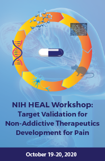  HEAL Workshop: Target Validation for Non-Addictive Therapeutics Development for Pain