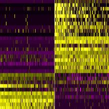 Researchers looked at gene activity in individual cells after traumatic brain injury (right column) and in control conditions (left column)