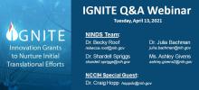 NINDS IGNITE Q&A Webinar banner