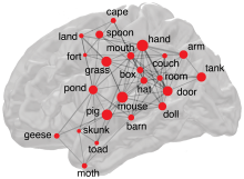 Side view of the human brain in grey overlaid with a network diagram of the words used in this study.
