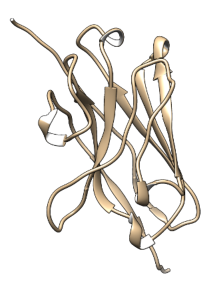 Ribbon picture of nanobody structure.