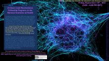 A Closer Look: Neuroscience Fellowship Programs at the National Institutes of Health event flyer