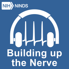 Building Up the Nerve graphic represented by a pair of headphones with action potentials inside