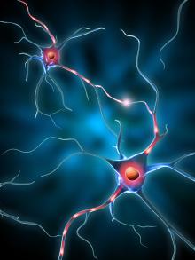 Image of neurons
