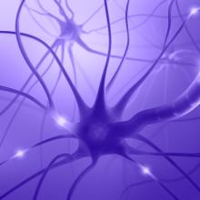 Illustration of brain cell firing an action potential.