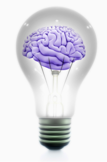 image of light bulb with brain inside of it
