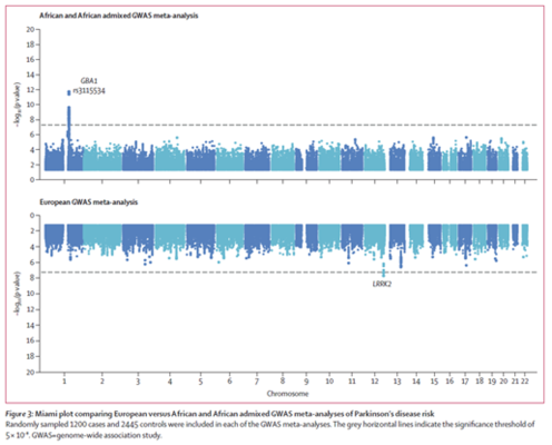 Miami plot comparing European versus African and African admixed GWAS meta-analyses of Parkinson’s disease risk. Randomly sampled 1200 cases and 2445 controls were included in each of the GWAS meta-analyses. The grey horizontal lines indicate the significance threshold of 5 × 10–⁸. 