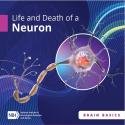 Life and Death of a Neuron publication cover page