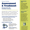 Know Stroke: Assessment & Treatment flyer