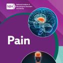 Pain Publication Cover Image